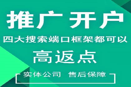 搜索引擎营销（SEM）推广策略案例分享