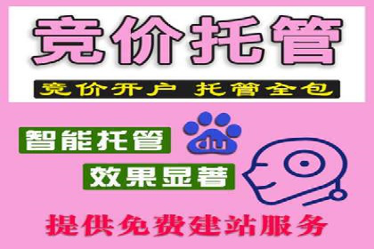 Sem优化公司实例：电商流量提升策略